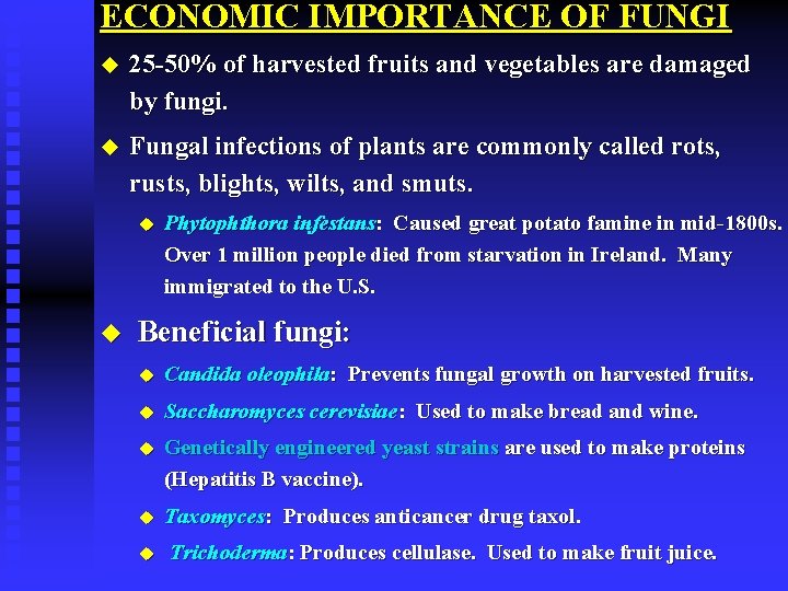 ECONOMIC IMPORTANCE OF FUNGI u 25 -50% of harvested fruits and vegetables are damaged