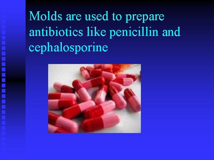 Molds are used to prepare antibiotics like penicillin and cephalosporine 