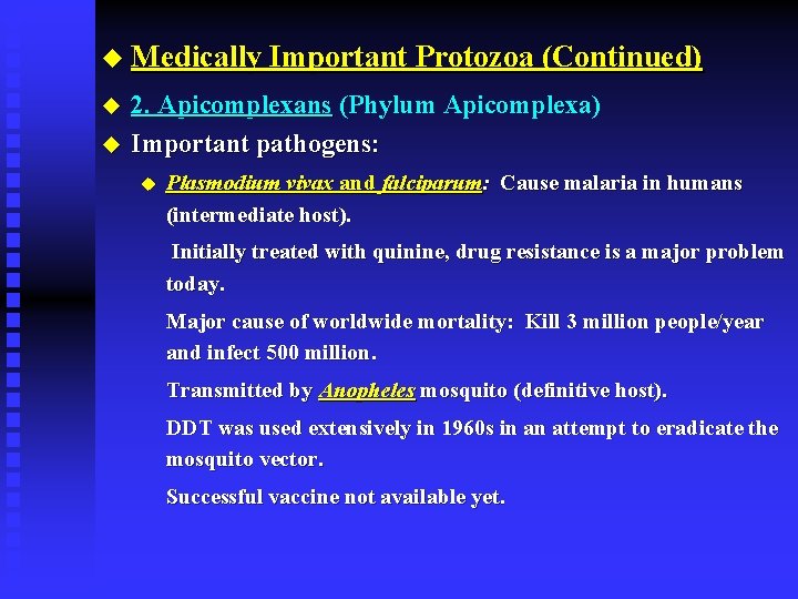 u Medically Important Protozoa (Continued) u u 2. Apicomplexans (Phylum Apicomplexa) Important pathogens: u