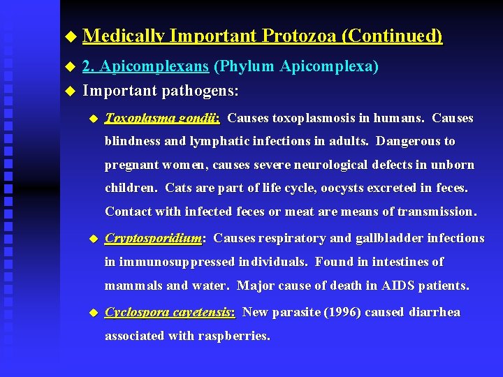 u Medically Important Protozoa (Continued) u u 2. Apicomplexans (Phylum Apicomplexa) Important pathogens: u