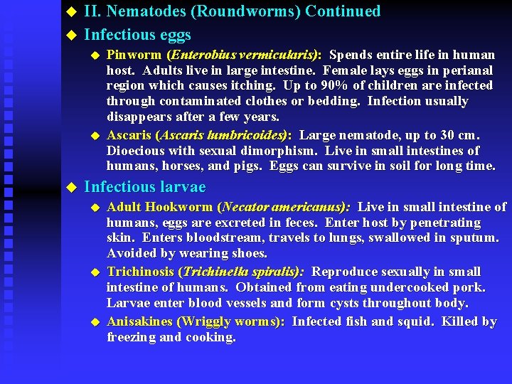 u u II. Nematodes (Roundworms) Continued Infectious eggs u u u Pinworm (Enterobius vermicularis):