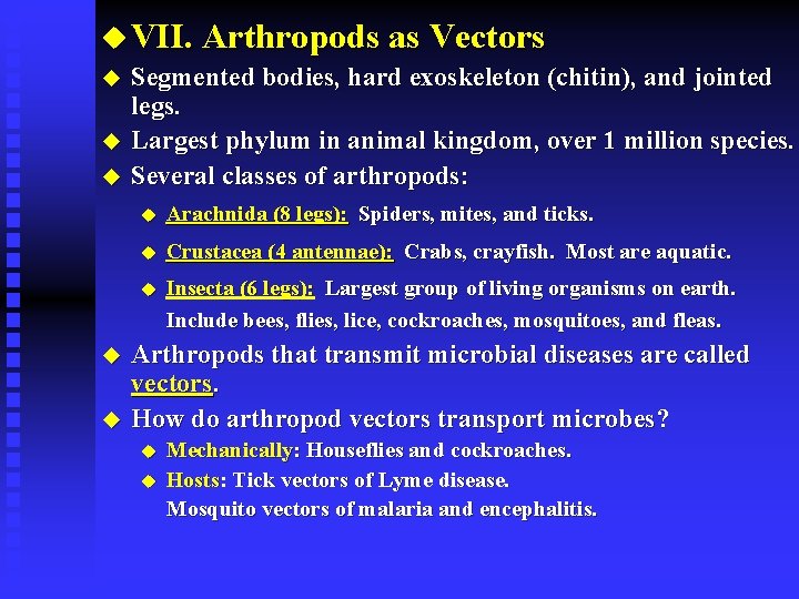 u VII. Arthropods as Vectors u Segmented bodies, hard exoskeleton (chitin), and jointed legs.