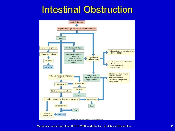 Intestinal Obstruction Mosby items and derived items © 2010, 2006 by Mosby, Inc. ,