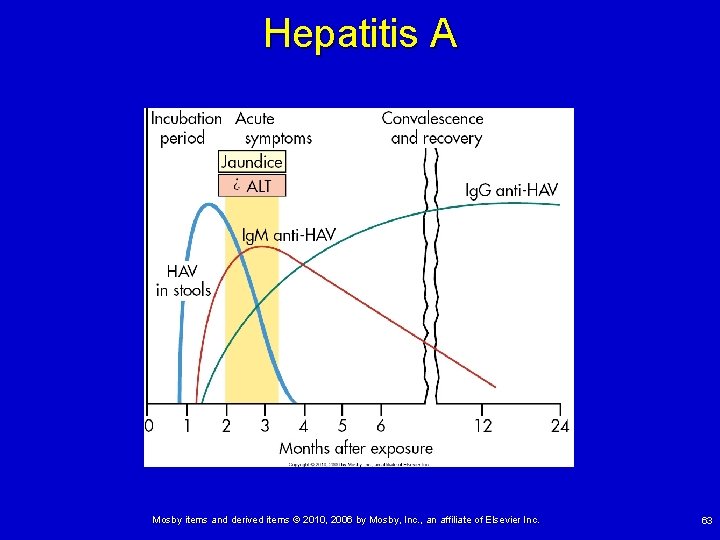 Hepatitis A Mosby items and derived items © 2010, 2006 by Mosby, Inc. ,