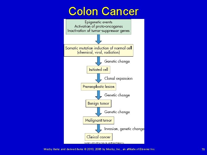 Colon Cancer Mosby items and derived items © 2010, 2006 by Mosby, Inc. ,