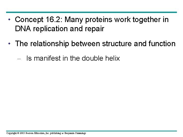  • Concept 16. 2: Many proteins work together in DNA replication and repair