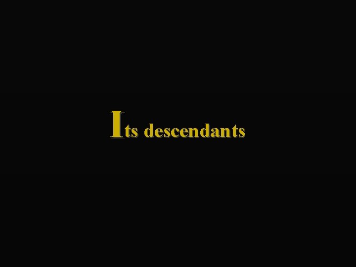 Its descendants 