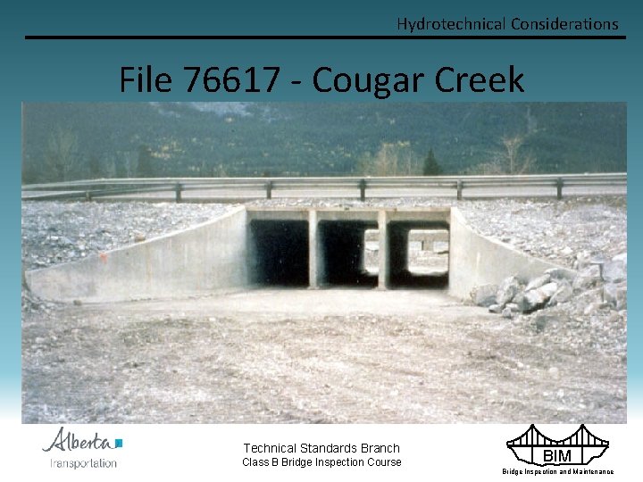 Hydrotechnical Considerations File 76617 - Cougar Creek Technical Standards Branch Class B Bridge Inspection