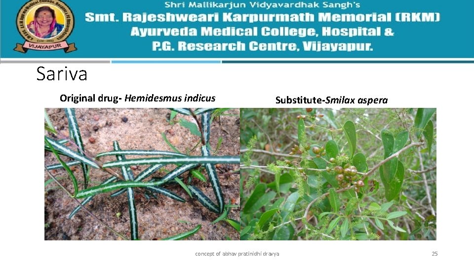 Sariva Original drug- Hemidesmus indicus Substitute-Smilax aspera concept of abhav pratinidhi dravya 25 