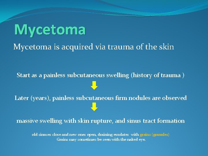 Mycetoma is acquired via trauma of the skin Start as a painless subcutaneous swelling