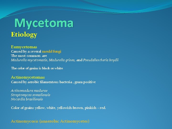 Mycetoma Etiology Eumycetomas Caused by a several mould fungi The most common are Madurella
