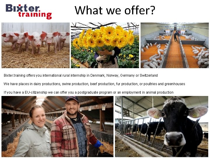 What we offer? Bixter. training offers you international rural internship in Denmark, Norway, Germany