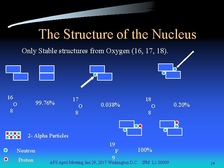 The Structure of the Nucleus Only Stable structures from Oxygen (16, 17, 18). 16