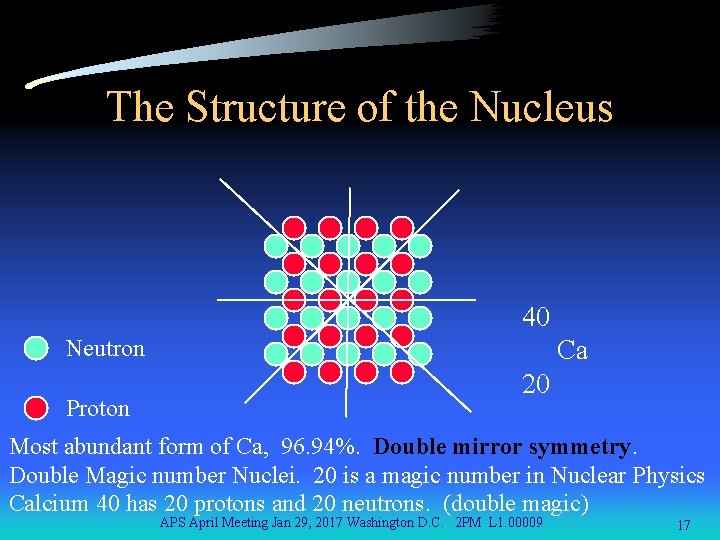 The Structure of the Nucleus 40 Neutron Proton Ca 20 Most abundant form of