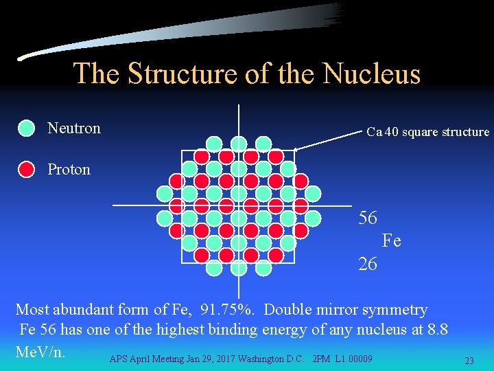 The Structure of the Nucleus Neutron Ca 40 square structure Proton 56 Fe 26