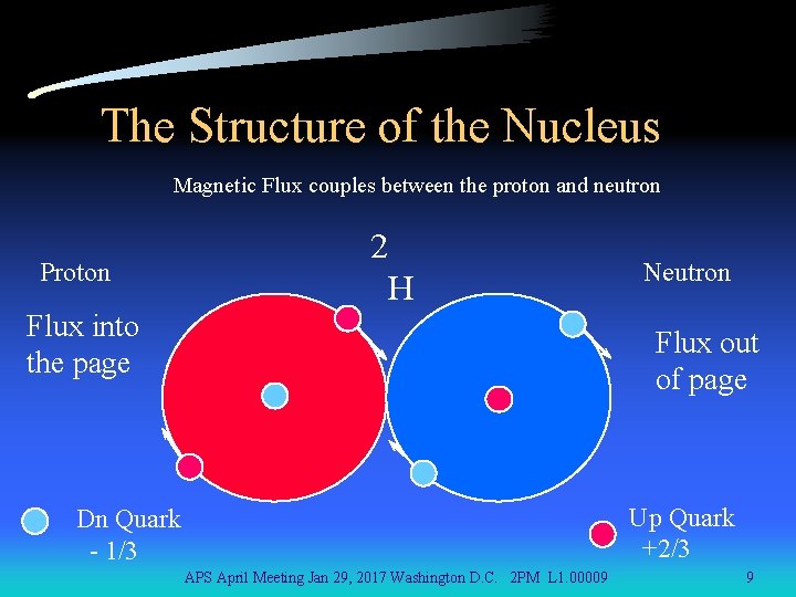The Structure of the Nucleus Magnetic Flux couples between the proton and neutron Proton