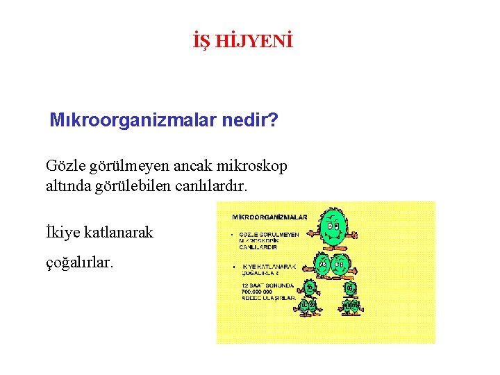 İŞ HİJYENİ Mıkroorganizmalar nedir? Gözle görülmeyen ancak mikroskop altında görülebilen canlılardır. İkiye katlanarak çoğalırlar.