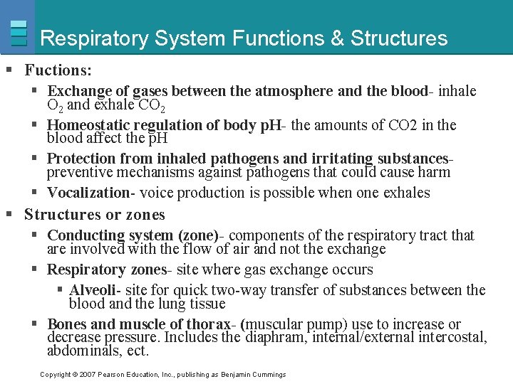 Respiratory System Functions & Structures § Fuctions: § Exchange of gases between the atmosphere