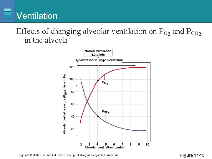 Ventilation Effects of changing alveolar ventilation on PO 2 and PCO 2 in the