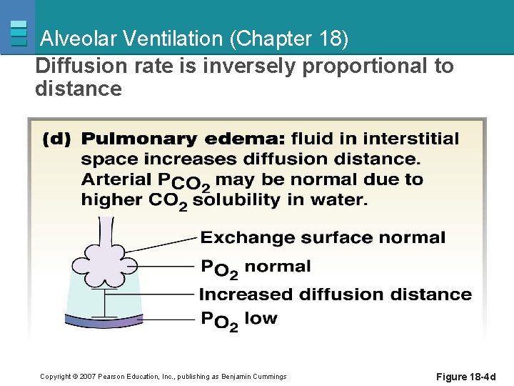 Alveolar Ventilation (Chapter 18) Diffusion rate is inversely proportional to distance Copyright © 2007