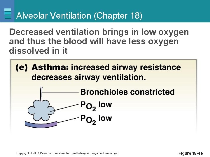 Alveolar Ventilation (Chapter 18) Decreased ventilation brings in low oxygen and thus the blood