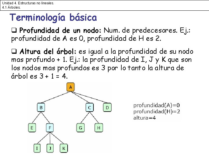 Unidad 4. Estructuras no lineales. 4. 1 Árboles. Terminología básica q Profundidad de un