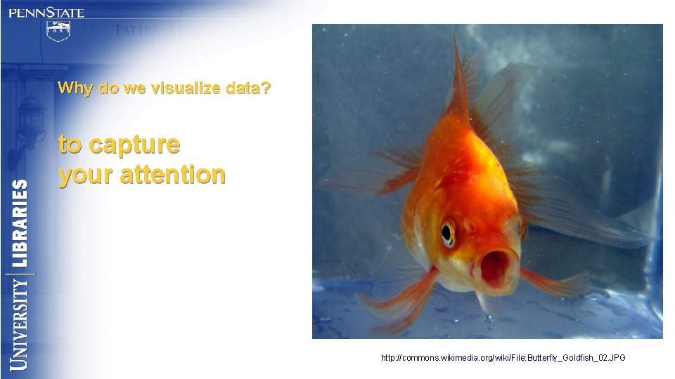 Why do we visualize data? to capture your attention http: //commons. wikimedia. org/wiki/File: Butterfly_Goldfish_02.