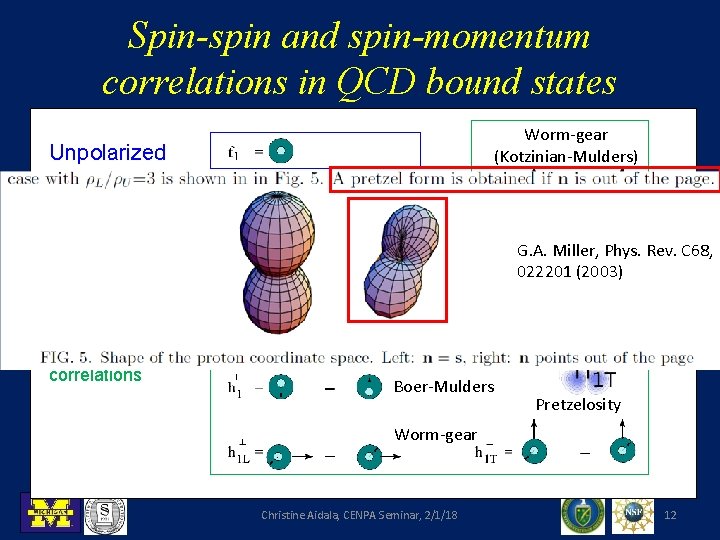 Spin-spin and spin-momentum correlations in QCD bound states Worm-gear (Kotzinian-Mulders) Unpolarized Spin-spin correlations Helicity