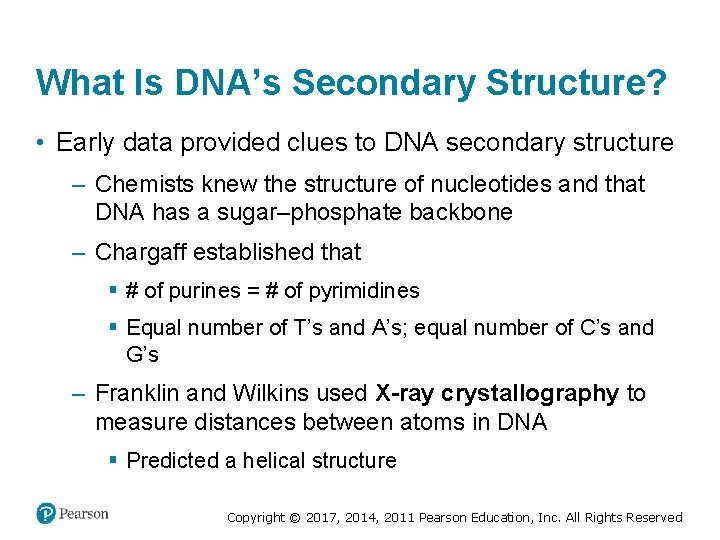 What Is DNA’s Secondary Structure? • Early data provided clues to DNA secondary structure