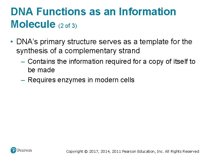 DNA Functions as an Information Molecule (2 of 3) • DNA’s primary structure serves