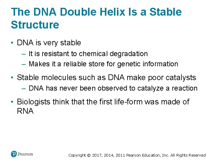 The DNA Double Helix Is a Stable Structure • DNA is very stable –
