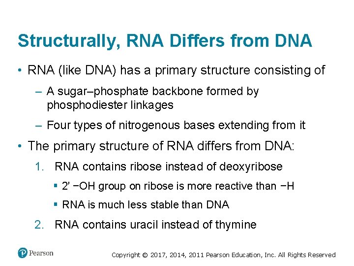 Structurally, RNA Differs from DNA • RNA (like DNA) has a primary structure consisting