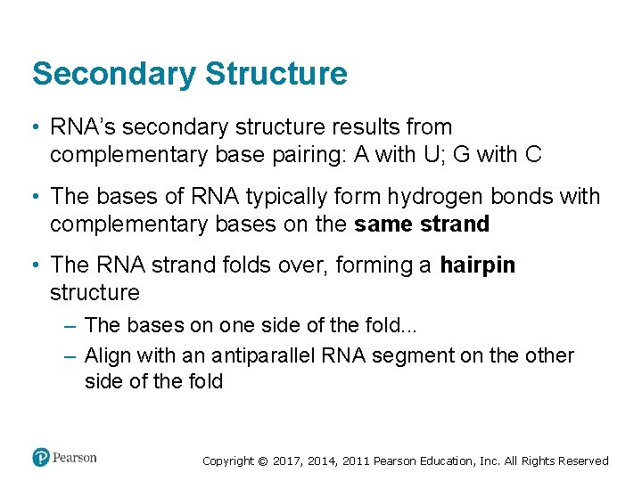Secondary Structure • RNA’s secondary structure results from complementary base pairing: A with U;