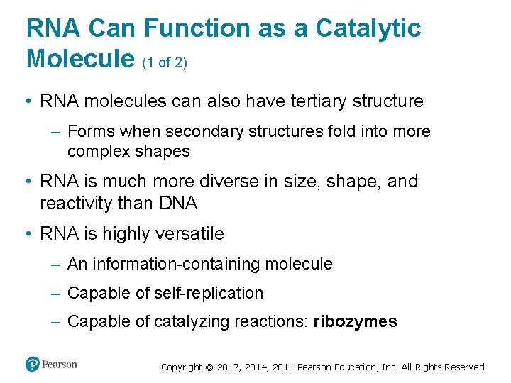 RNA Can Function as a Catalytic Molecule (1 of 2) • RNA molecules can