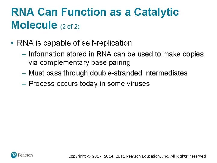 RNA Can Function as a Catalytic Molecule (2 of 2) • RNA is capable
