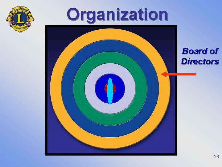 Organization Board of Directors 28 