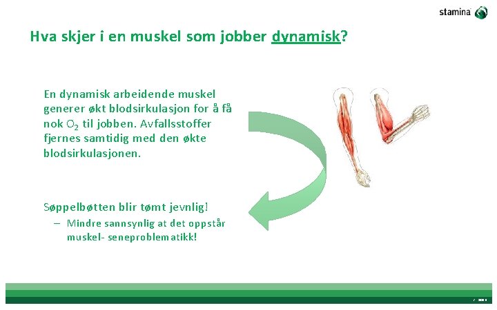 Hva skjer i en muskel som jobber dynamisk? En dynamisk arbeidende muskel generer økt