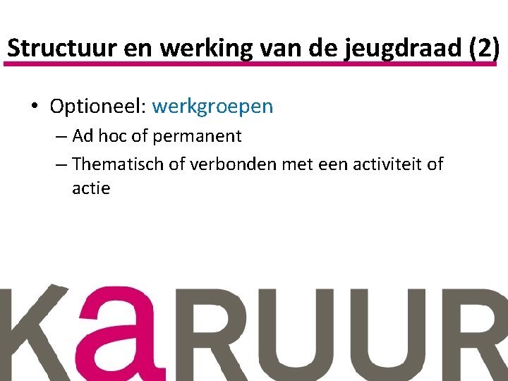 Structuur en werking van de jeugdraad (2) • Optioneel: werkgroepen – Ad hoc of