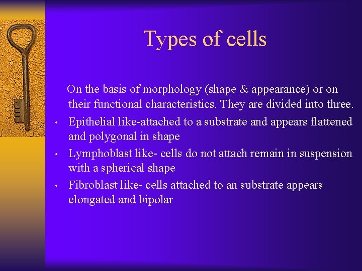 Types of cells • • • On the basis of morphology (shape & appearance)