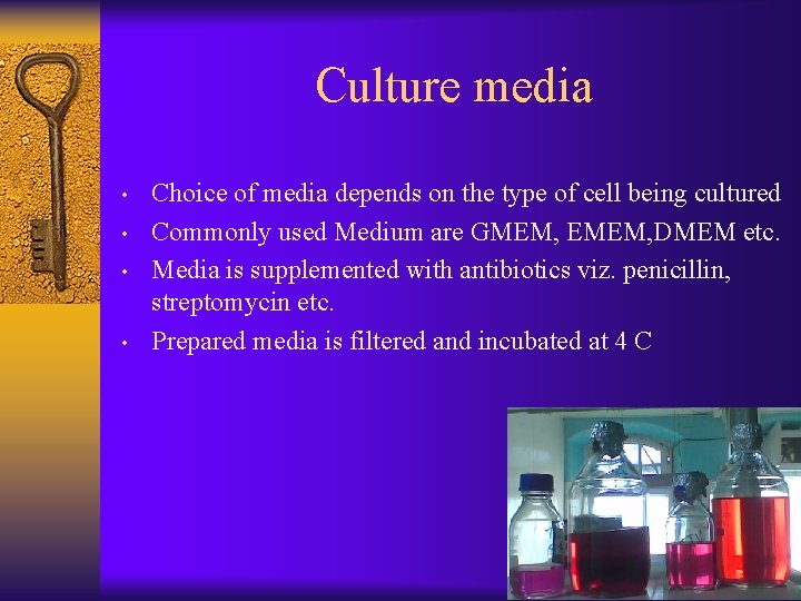 Culture media • • Choice of media depends on the type of cell being