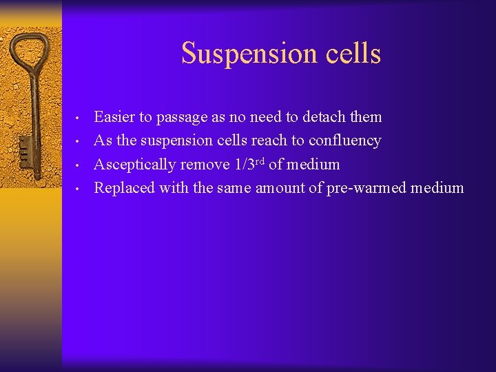 Suspension cells • • Easier to passage as no need to detach them As