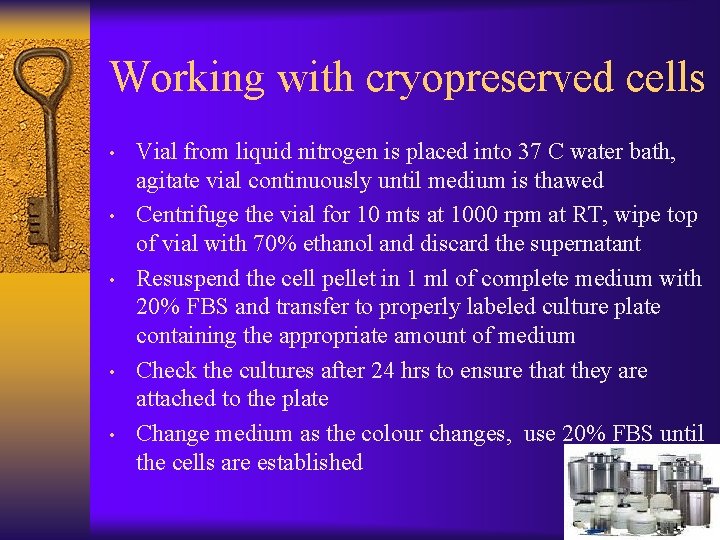 Working with cryopreserved cells • • • Vial from liquid nitrogen is placed into