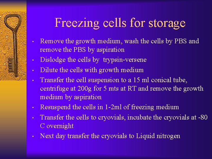 Freezing cells for storage • • Remove the growth medium, wash the cells by