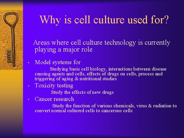 Why is cell culture used for? Areas where cell culture technology is currently playing