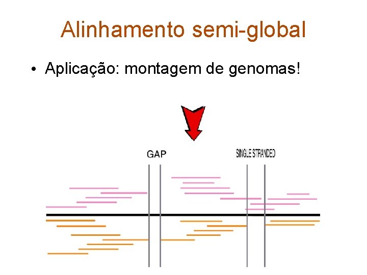 Alinhamento semi-global • Aplicação: montagem de genomas! 