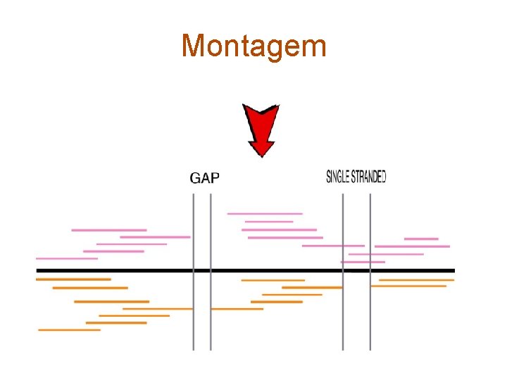 Montagem 