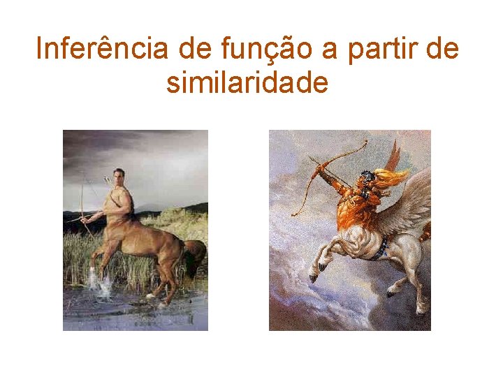 Inferência de função a partir de similaridade 
