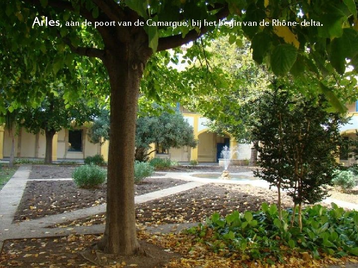 Arles, aan de poort van de Camargue, bij het begin van de Rhône-delta. 