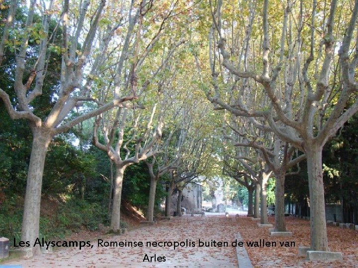 Les Alyscamps, Romeinse necropolis buiten de wallen van Arles 