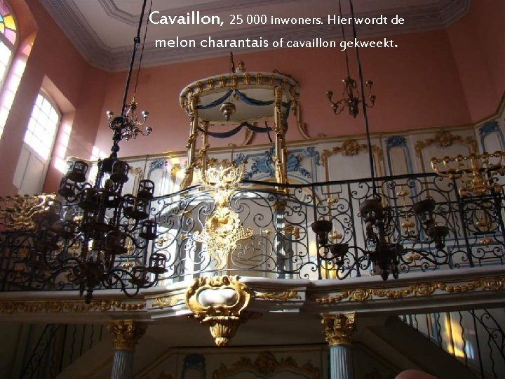 Cavaillon, 25 000 inwoners. Hier wordt de melon charantais of cavaillon gekweekt. 